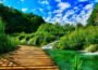 Gift of Nature